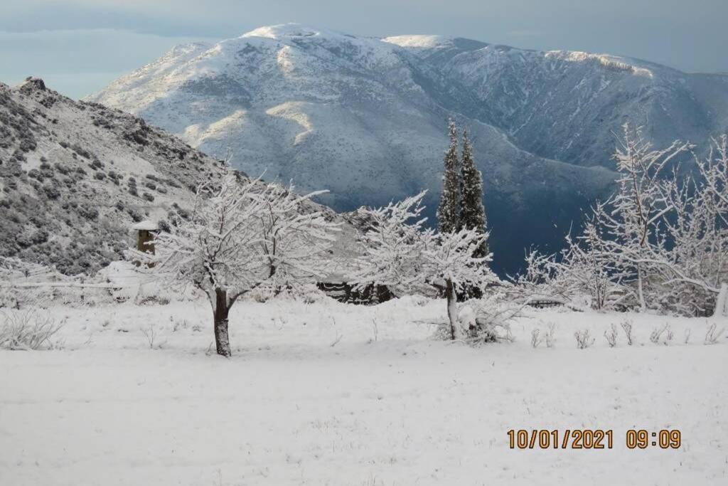 부비온 Casa La Solea. Vistas Al Pueblo Y La Sierra 빌라 외부 사진