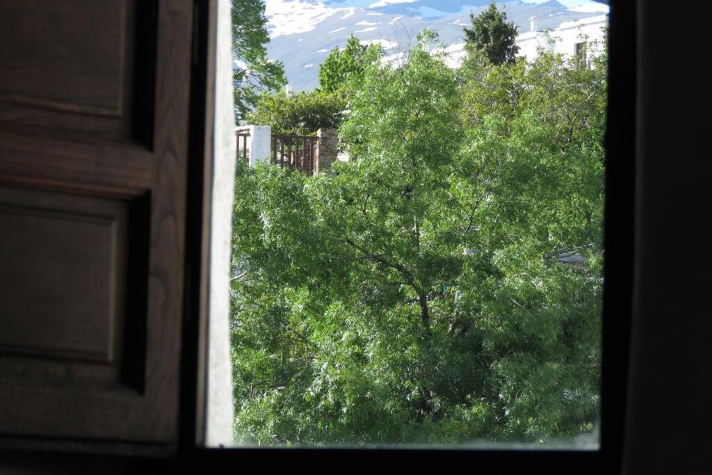 부비온 Casa La Solea. Vistas Al Pueblo Y La Sierra 빌라 외부 사진