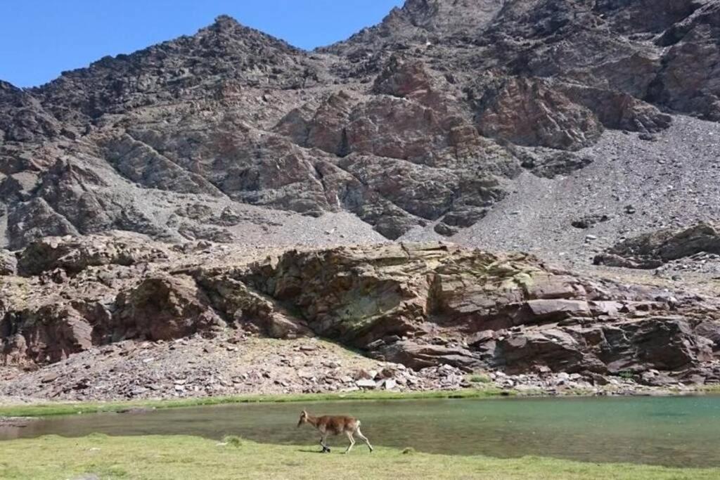 부비온 Casa La Solea. Vistas Al Pueblo Y La Sierra 빌라 외부 사진